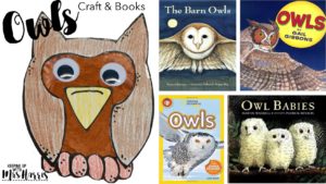 Nocturnal Animal Crafts and Books - Paper plate templates for crafts for your nocturnal animal unit.