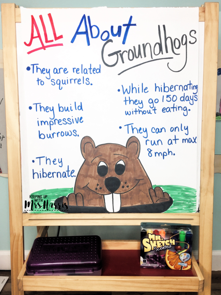 Groundhog Day Anchor Chart - Groundhog Facts