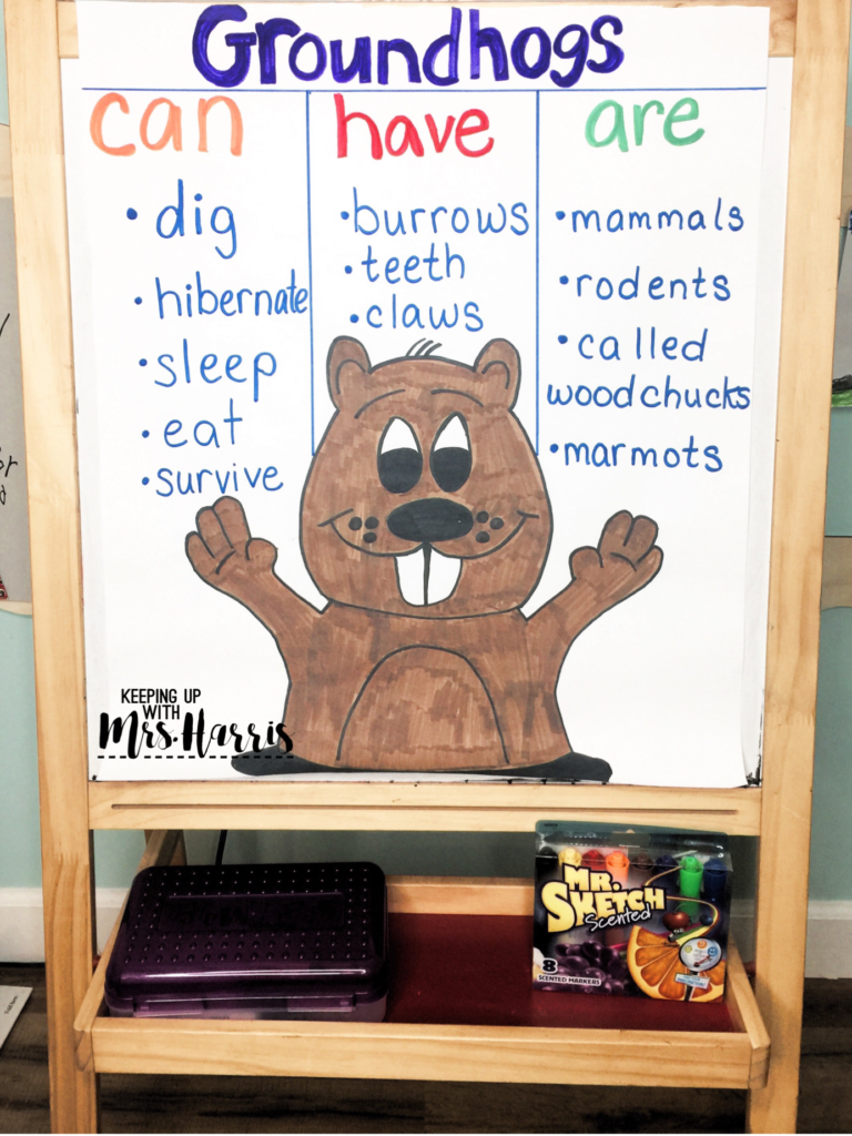 Groundhog Day Anchor Chart - Groundhog Facts