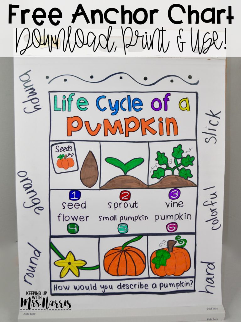 pumpkin anchor chart - fall anchor chart - fall freebies - free fall activities - fall lessons - fall activities for the classroom